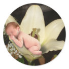 round_sticker - This adorable little sleeping flower baby lies contentedly nestled in the petals of a lily.  Buy these enchanting stickers to add some magic to your life!