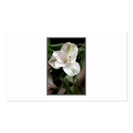 Lily Flower. Business Card Template (front side)