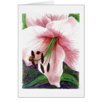 Lily flower cards