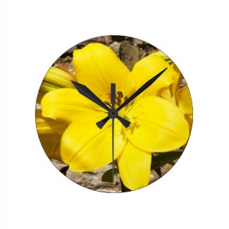 Lily flower clocks