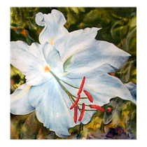 Lily Flower Fine Art Print