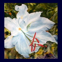Lily Flower Fine Art Print
