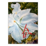 Lily Flower, Greeting Card