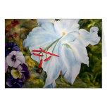 Lily Flower Greeting Card