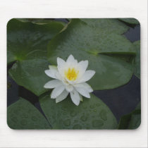 Lily Flower in Lily Pads Mousepad