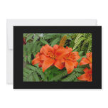 Lily flower - Iridescent orange Personalized Announcements