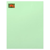 Lily flower - Iridescent orange Customized Letterhead
