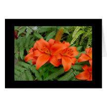 Lily flower - Iridescent orange (Matt 28-30) Card