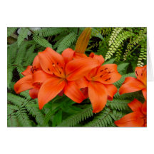 Lily flower - Iridescent orange (Matt 28-30) Greeting Card