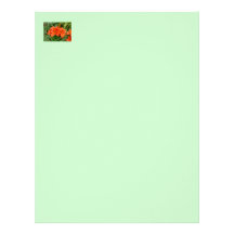 Lily flower - Iridescent orange (Matt 28-30) Customized Letterhead