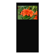 Lily flower - Iridescent orange (Matt 28-30) Custom Rack Cards