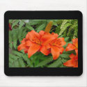 Lily flower - Iridescent orange mousepads