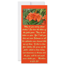 Lily flower - Iridescent orange Custom Rack Card