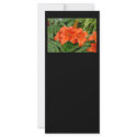 Lily flower - Iridescent orange zazzle_rackcard