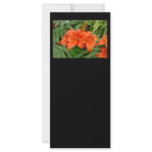 Lily flower - Iridescent orange Custom Rack Cards