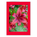 Lily flower - Iridescent red v2b card