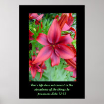 Lily flower - Iridescent red v2b posters