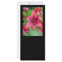 Lily flower - Iridescent red v2b Rack Card Design