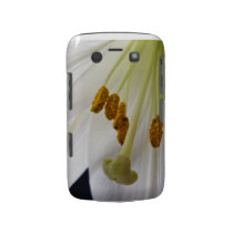 Lily Flower Macro Blackberry Bold case casemate cases