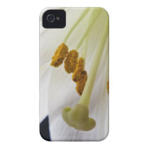 Lily Flower Macro iPhone 4 4s case casemate cases