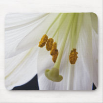 Lily Flower Macro mouse mat mousepads