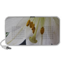 Lily Flower Macro portable doodle speaker speakers
