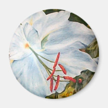 Lily Flower Magnet