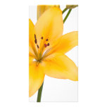 Lily Flower Personalized Photo Card