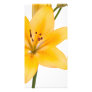 Lily Flower Personalized Photo Card