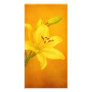 Lily Flower Customized Photo Card