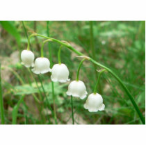 Lily Flower photo sculptures by lifesphere Lily Flower photo sculptures