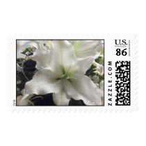 lily flower postage