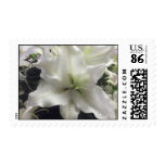 lily flower postage postage