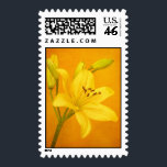 Lily Flower stamps