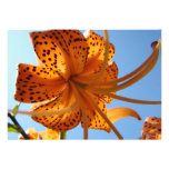 LILY FLOWERS Invitations Cards Lilies Parties