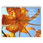 LILY FLOWERS on SUNNY DAYS! Gift Calendar New Year