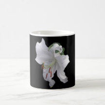 Lily Garden Coffee Mugs