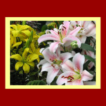 Lily Garden posters