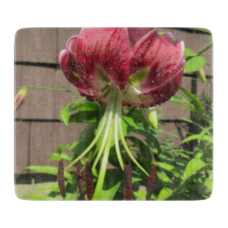 Lily Green Maroon Garden Flower