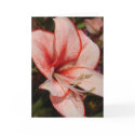 Lily Greeting Card by Jack_of_Arts Lily Greeting Card