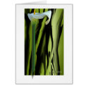 Lily Greeting Card