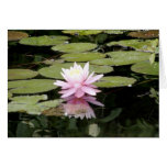 LILY GREETING CARD
