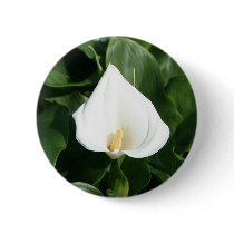 Lily growing at Calla Lily Plantation, Taiwan buttons