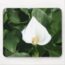 Lily growing at Calla Lily Plantation, Taiwan mousepads