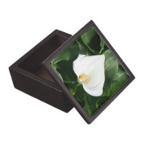 Lily growing at Calla Lily Plantation, Taiwan premium gift boxes