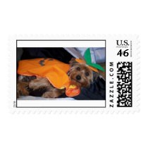 Lily Halloween Stamp stamps
