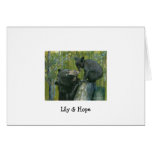 lily&hope©(2) cards