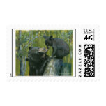 lily&hope©(2) stamp