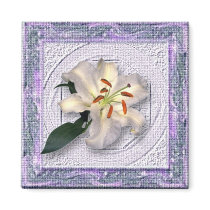 Lily in Canvas Frame magnets