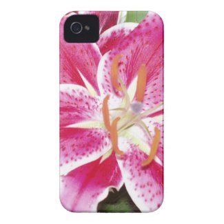 Lily iPhone 4/iPhone 4S Barely There&trade; Case casematecase